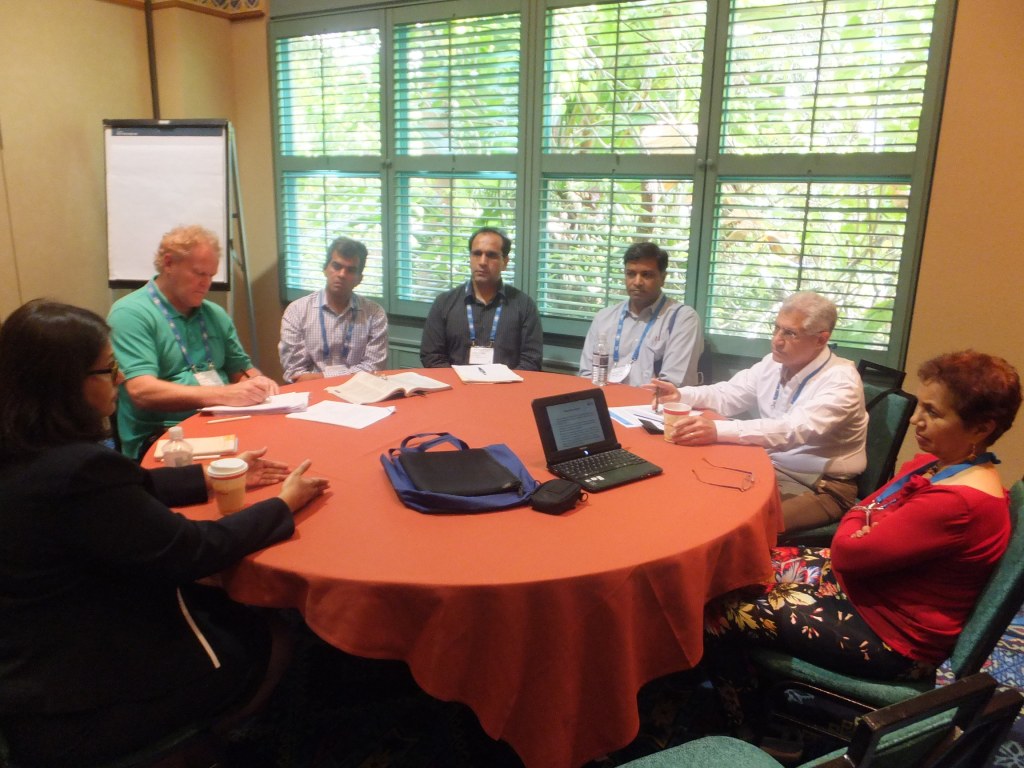 SAAM Caucus at AOM&nbsp;2013