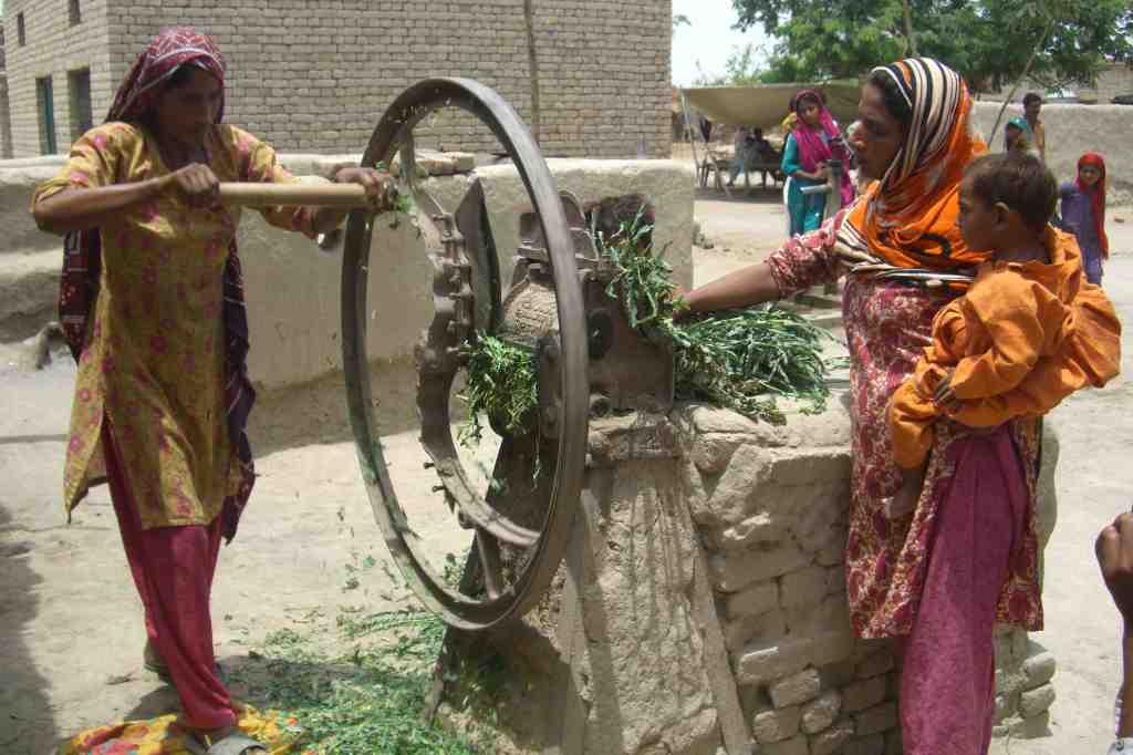 Gender Equality at Work in Pakistan: An Intersectional&nbsp;Perspective