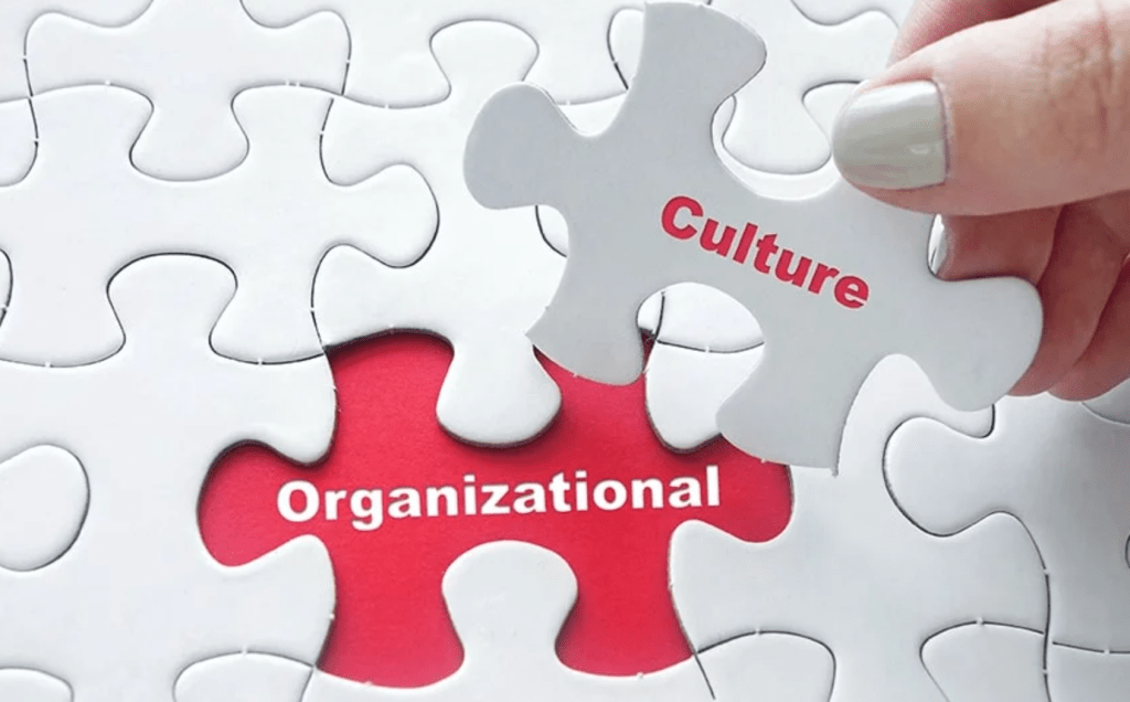 Case: Organizational Culture at Esta Pakistan