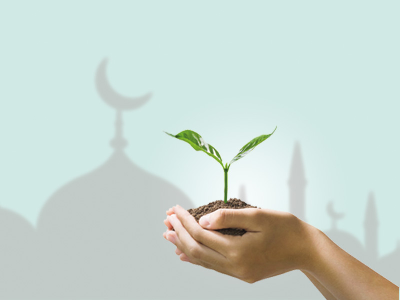 An Islamic Perspective on Green Leadership